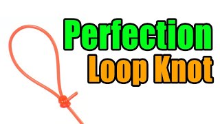 Perfection Loop Knot  Strong Easy Leader To Line Loop Knot  Best Fishing Knots [upl. by Joelle]