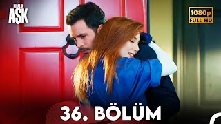 Kiralık Aşk 36 Bölüm Full HD [upl. by Doowrehs]