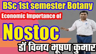 Nostoc।Economic Importance of Nostoc। Systematic position of Nostoc। Nostoc। GURUHUB [upl. by Neufer]