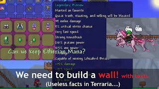 Longest Description in Terraria and I tried to keep the Etherian mana [upl. by Ashraf]