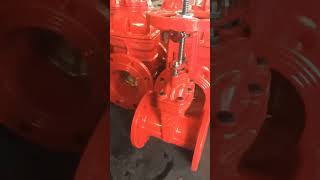 side lock rising stem resilient seat gate valves gatevalve gatevalves vavle [upl. by Morgenthaler743]