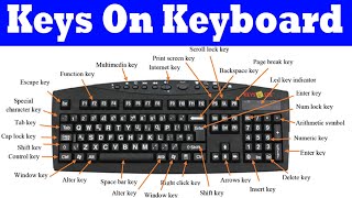 Keys On Keyboard Symbol keys Scroll Keys Menu Keys Class 3 Chap 1 P4 [upl. by Glen]