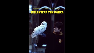 Harry Potter ve Felsefe Taşı  Tek Parça  En İyi Sesli Kitap [upl. by Douty]