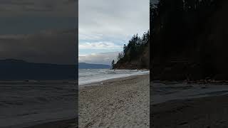 Wreck Beach of British Columbia  clothingoptional Beach of Canada  UBC [upl. by Deena]