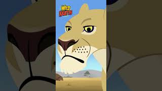 Activate Lion Power  The Top of the Food Web  Wild Kratts [upl. by Eedya]