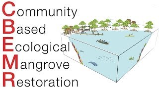 Community Based Ecological Mangrove Restoration FUNDRAISER VIDEO [upl. by Goldie]