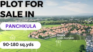 Plot for sale in PANCHKULA Yamuna Nagar Highway near Chandigarh Rs 49900 per gaj [upl. by Ulphia265]