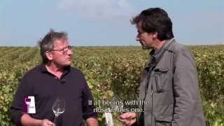 Understanding Loire Valley Sancerre with Alphonse Mellot [upl. by Marylinda]