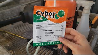 COMO FUMIGAR TU CASA EN 5 MINUTOS CONTRA CUCARACHAS  RESULTADOS [upl. by Sauveur]