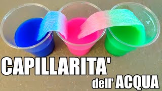 🧪⚗ Esperimento sulla capillarità dellacqua [upl. by Libbie]