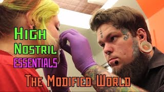 High Nostril ESSENTIALS THE MODIFIED WORLD [upl. by Gennifer]