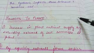 MycorrhizaMycorrhiza in hindiTypes of mycorrhizaMycorrhiza kya haiFungal rootsAdvantages part 2 [upl. by Donnamarie]