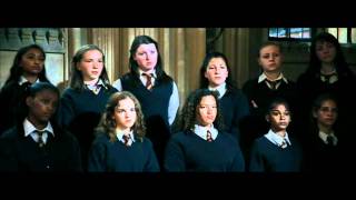 Babbling Bumbling Band of Baboons  Harry Potter GOF Clip [upl. by Aitra858]