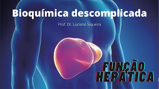 4  Bioquímica descomplicada Função hepática [upl. by Glennis]