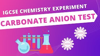 ChemPraxis IGCSE Chemistry Lab Anion Test  Carbonate Ion [upl. by Publea]