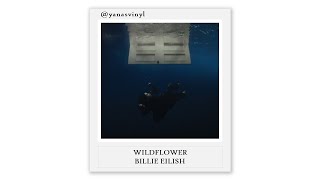 WILDFLOWER  Billie Eilish Lyrics [upl. by Naillik709]