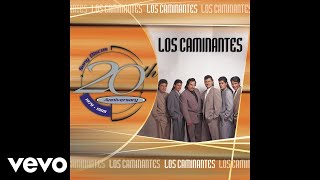 Los Caminantes  El Puente Roto Audio [upl. by Abehs]