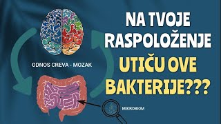 Kako BAKTERIJE utiču na EMOCIJE [upl. by Renner829]