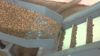 Wood pellet production plant up to 700 kgh  PELLETIZING Ptuj Slovenia [upl. by Jerrold798]