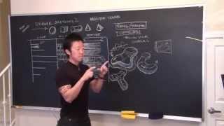 CGMA  Dynamic Sketching 2 with Peter Han [upl. by Elletsyrk]