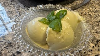 Basilikum Eis 🍨🍃 Ein Traum 😇 Thermomix® TM6  Ninja® Creami [upl. by Nibroc]