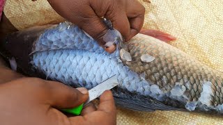 How to remove fish skinHow to clean fish skinHow to remove Fish SkinFish cutting SkillsRohu Fish [upl. by Payton]