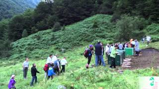 Lâcher de Bouquetins ibériques dans les Pyrénées en Ariège  Juillet 2014 [upl. by Arissa]