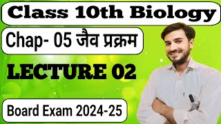 Biology class 10th chapter no 5 jaiv prakram  जैव प्रक्रम परिसंचरण तंत्र [upl. by Chiang]