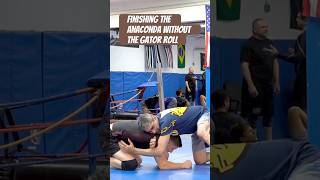 Anaconda choke without the gator roll bjj jiujitsu anaconda choke [upl. by Giovanna]