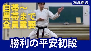 勝利の松濤館流平安初段改良版 空手形 karate heian kata [upl. by Yorel594]