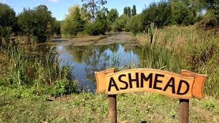 Ashmead Adventure  48hrs Carp Fishing [upl. by Shuman]