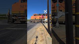 BNSF Grain Train On SERA In Oakdale CA At S Stearns Rd 1032024 [upl. by Zeb]