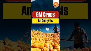 GM Crops An Analysis [upl. by Markos]