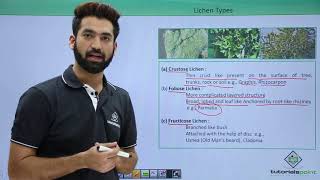 Class 11th – Lichens – Types  Biological Classification  Tutorials Point [upl. by Netsyrc]