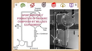 Spontaneously formation of organic compound education evolution earth biochemistry organic [upl. by Lebasile]