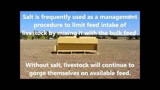 Auto Easy Feeder the Best Cattle Feeders Programmable and Automatic Livestock Feeders [upl. by Fenner203]