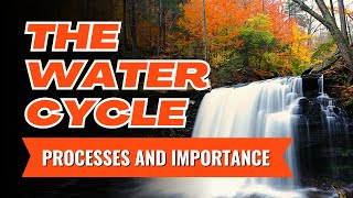 The Water Cycle Processes and Importance Tagalog [upl. by Dusza]