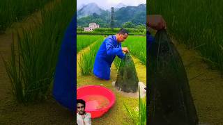 fishing amazingfacts fish [upl. by Ahgiel]