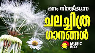 മനം നിറയ്ക്കുന്ന ചലച്ചിത്ര ഗാനങ്ങൾ  Malayalam Film Songs [upl. by Thea668]