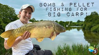 Bomb amp Pellet Fishing for BIG carp [upl. by Bela]