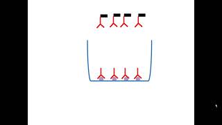 Test Elisa indirect [upl. by Prober]