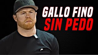 Canelo Alvarez ACEPTA pelear contra Jake Paul [upl. by Enidualc]