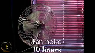 ►10 hours of Box Fan White Noise  Sounds for Sleeping Medium Speed with Cute Kitten Window Fan [upl. by Eerahs]