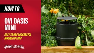 Easy to Use Successful Mosquito Trap  Catchmaster Oasis OviMini Mosquitor Trap [upl. by Asenab237]