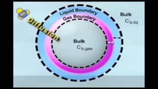 Diffusion and Mass Transfer Coefficients Demonstration [upl. by Cynarra]