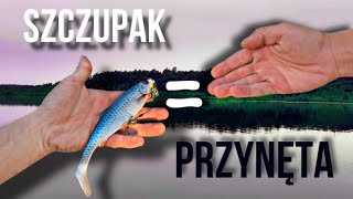 ZŁOWISZ SZCZUPAKA  ZGARNIASZ PRZYNĘTĘ [upl. by Yttap612]