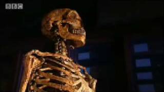 Highpitched voice theory  Neanderthal  BBC science [upl. by Dalpe422]