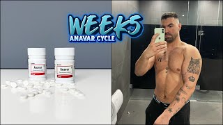 WEEK 5 ANAVAR ONLY CYCLE RESULTS BETWEEN 40MG ANAVAR  40MG DBOL PART 1 [upl. by Faucher]