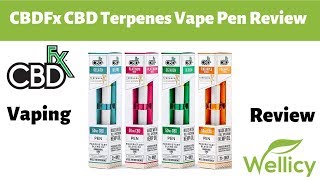 CBDFx CBD Terpenes Vape Pen Review  Disposable CBD Vape Pen  4 Flavors [upl. by Ric]