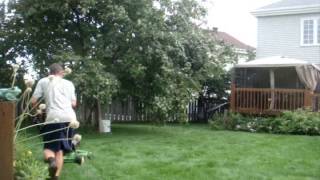 Black amp Decker 8209 Trimmer Lawnboy 10323 and Weed Eater Electric Blower In Action [upl. by Nedyaj883]